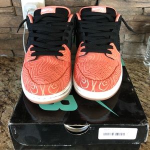 Nike Dunk Low Premium SB “Fish Ladder” size 11